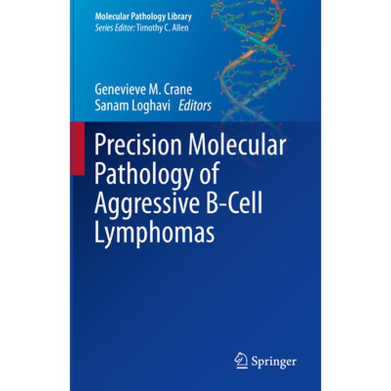 【4周达】Precision Molecular Pathology of Aggressive B-Cell Lymphomas[9783031468414]