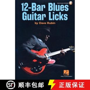 Guitar with Blues Rubin 预订 Dave Licks Bar Audio Online Book 9781705141656