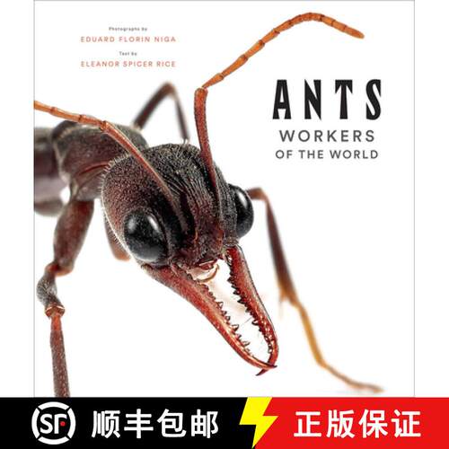 预订 精装 Ants: Workers of the World [9781419748493]