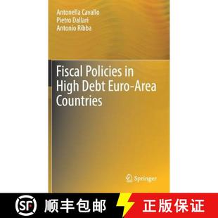 Area 9783319702681 Fiscal High Debt 4周达 Policies Countries Euro