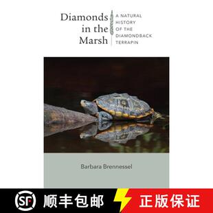 【3-4周达】Diamonds in the Marsh – A Natural History of the Diamondback Terrapin [9781684580804]