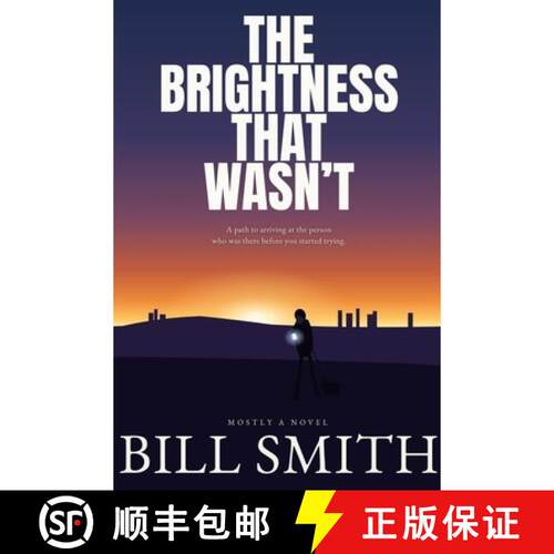 【3-4周达】The Brightness That Wasn't: a path to arriving at the person who was there before you star... [9780473789343]
