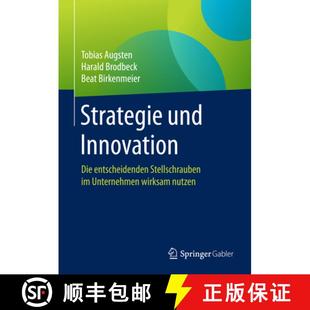 Strategie 9783658156831 Nutzen Stellschrauben 4周达 Innovation Und Wirksam Die Unternehmen Entscheidenden