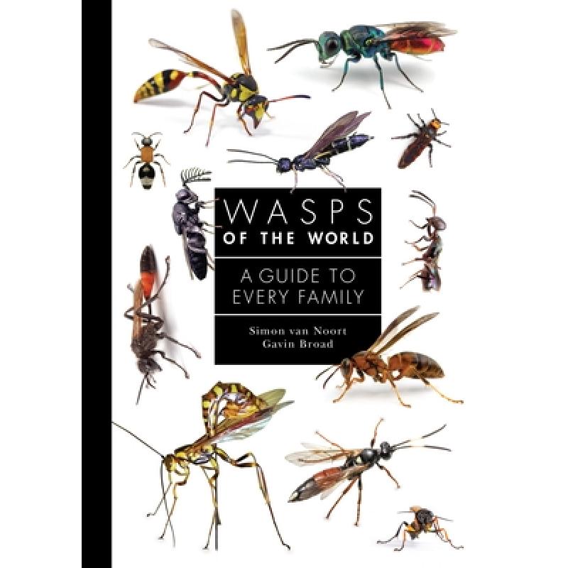 现货世界黄蜂图鉴 Wasps of the World: A Guide to Every Family[9780691238548]-封面
