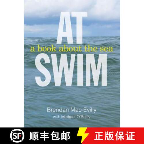 预订 At Swim: A Book about the Sea [9781848892828]