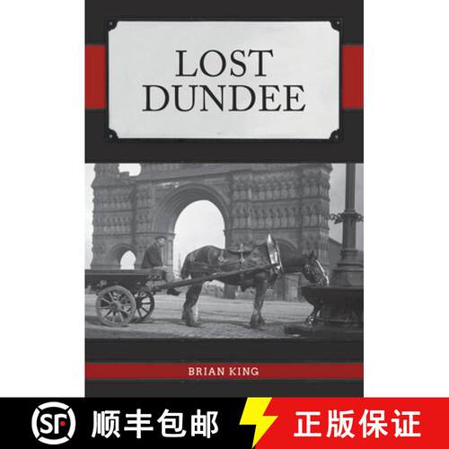 【3-4周达】Lost Dundee [9781398121577]