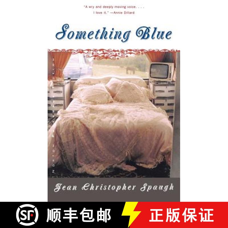预订 Something Blue: A Novel [9780393320077]