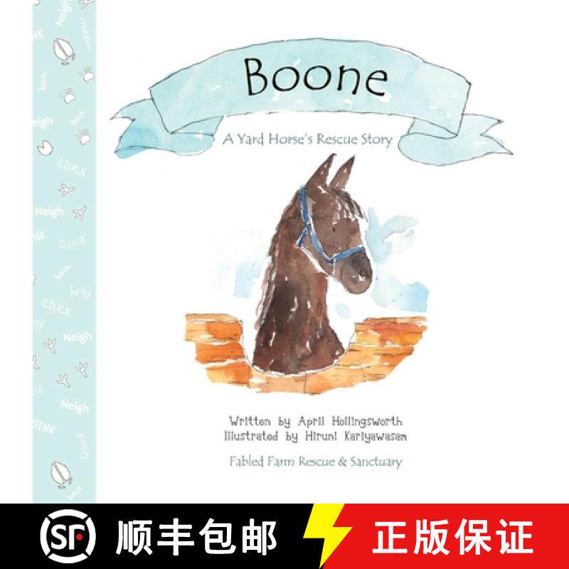 【3-4周达】Boone - A Yard Horse's Rescue Story [9798218852450]图片