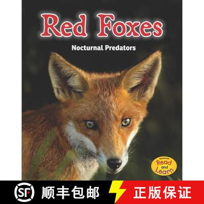 预订 精装 Red Foxes: Nocturnal Predators [9781484603123]