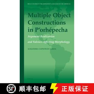 Valence 4周达 Constructions Object and Affecting Realization Multiple Argument Orhépecha 9789004288331 ...