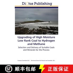 High 9783844363494 Upgrading Hydrogen Low Moisture Methane 预订 Rank and Coal