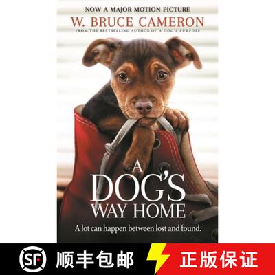 【3-4周达】A Dog's Way Home: The Heartwarming Story of the Special Bond Between Man and Dog [9781529002690]