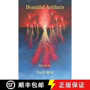 9781639806560 4周达 Beautiful Artifacts