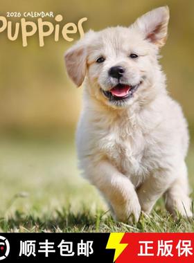 【3-4周达】Puppies Square Wall Sunday Start Calenda [9781529849479]