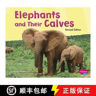 预订 Elephants and Their Calves [9781515742364]