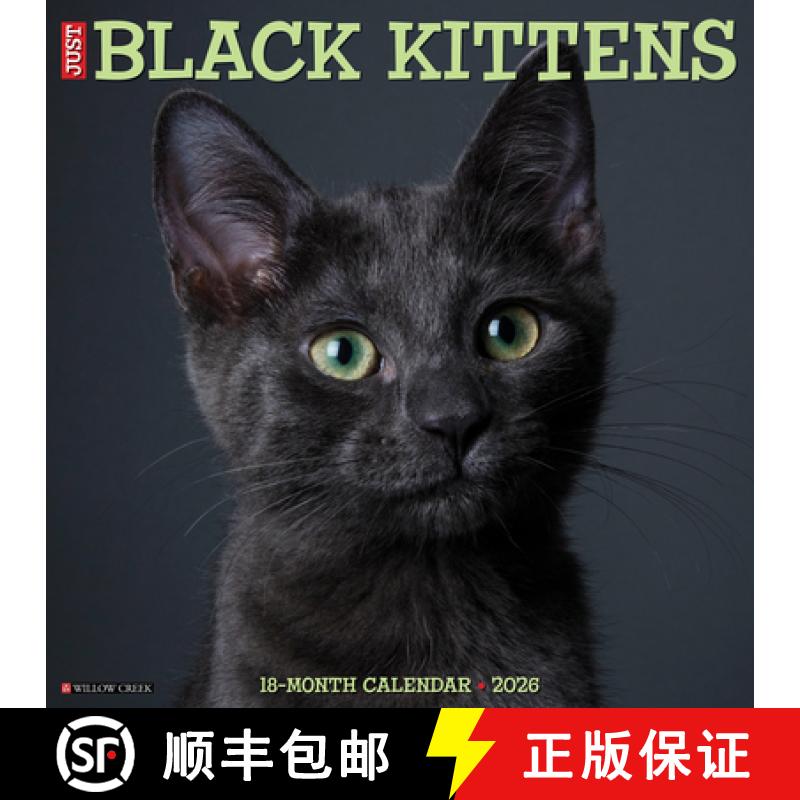 【3-4周达】Black Kittens 2026 12 X 12 Wall Calendar [9781549250293]