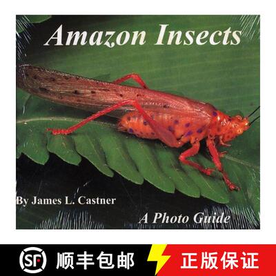 预订 Amazon Insects [9780962515019]