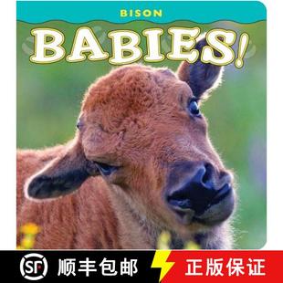 9781560375173 Babies Bison 预订