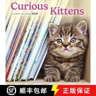 【3-4周达】Curious Kittens Square Mini Sunday Start [9781529849400]