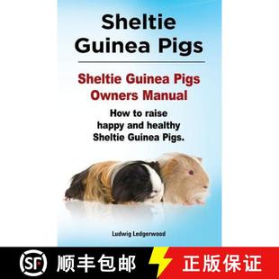 healthy Pigs 4周达 Sheltie Guinea How 9781910941287 Shelt... and Owners Pigs. happy Manual. raise
