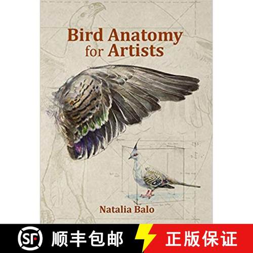 预订 Bird Anatomy for Artists [9780987337313]