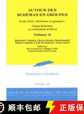 预订 AUTOUR DES SCHÉMAS EN GROUPES, École d'été « Schémas en groupes », Group Schemes, A celeb... [9782856298190]