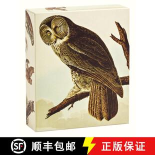 Quicknotes Notecards Teneues White 9781623258894 Classic Audubon 4周达 Full Owls E... Color