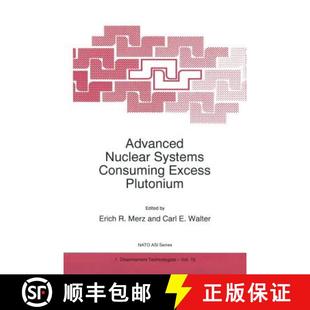 Advanced Nuclear Plutonium 9789401037433 Excess 4周达 Consuming Systems