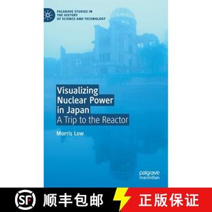 Visualizing 9783030471972 Reactor 4周达 Trip Power Nuclear the Japan