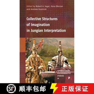 Imagination 9789004468740 4周达 Interpretation Jungian Structures Collective