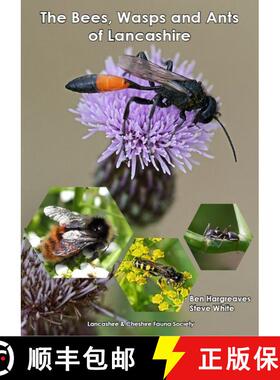 预订 The Bees, Wasps and Ants of Lancashire [9781999731298]