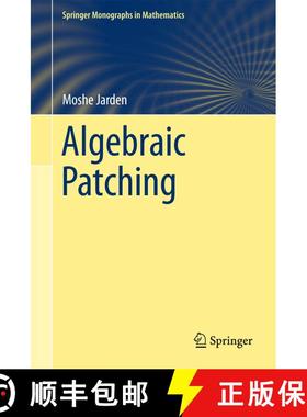 【3-4周达】Algebraic Patching [9783642151279]