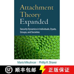 Groups Theory Security Expanded and 9781462552658 Dynamics Dyads Individuals 4周达 Attachment Societies