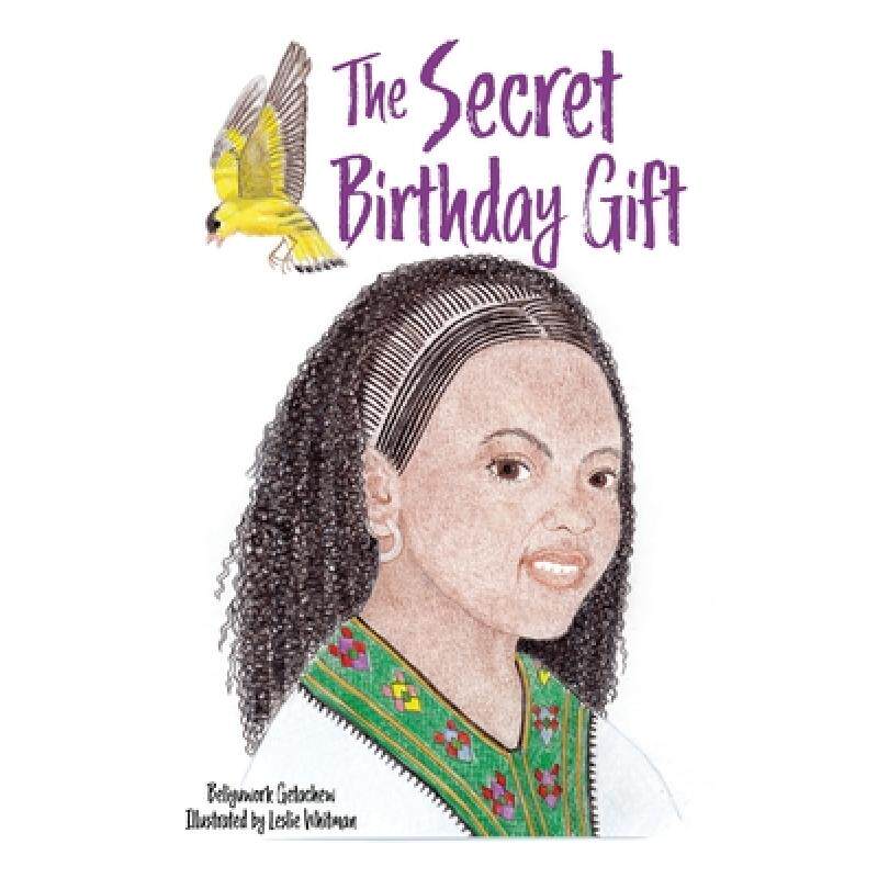 预订 the secret birthday gift [9781631299360]