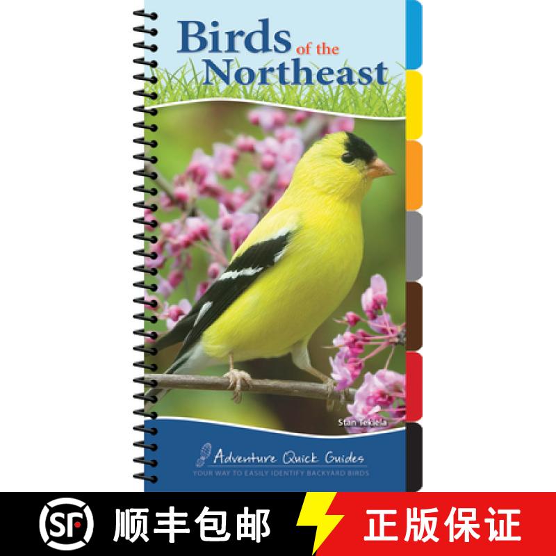 【3-4周达】Birds of the Northeast : Your Way to Easily Identify Backyard Birds [9781591934073]