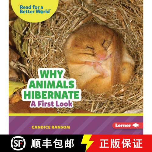 预订 Why Animals Hibernate: A First Look [9798348039608]