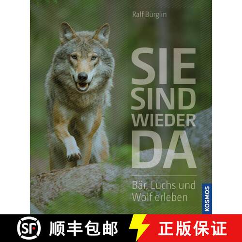 预订 Sie Sind Wieder Da: Bär, Luchs und Wolf Erleben [They Are Back: Encountering Bears, Lynx and Wo... [9783440145937]