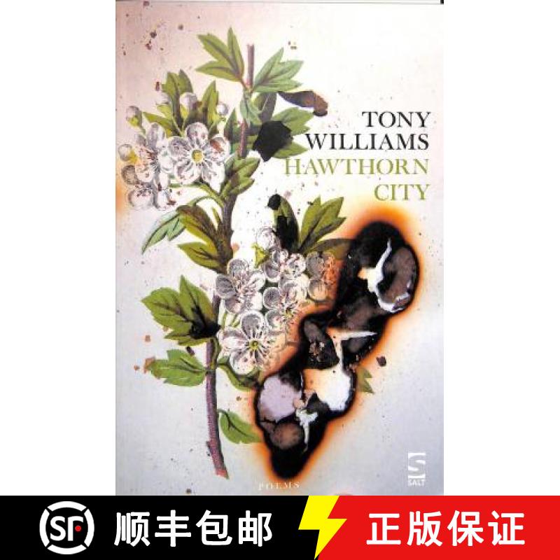 【3-4周达】Hawthorn City [9781784632120]