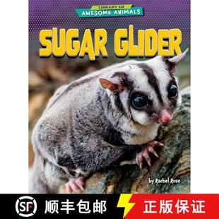 【3-4周达】Sugar Glider [9798895774724]