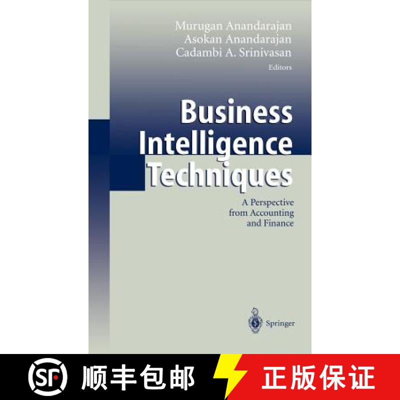 【3-4周达】Business Intelligence Techniques : A Perspective from Accounting and Finance [9783540408208]