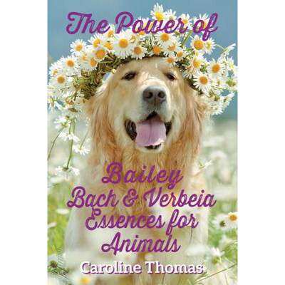 【4周达】The Power of Bailey, Bach & Verbeia Essences for Animals [9781911525738]