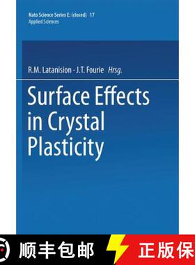 【3-4周达】Surface Effects in Crystal Plasticity [9789401196932]