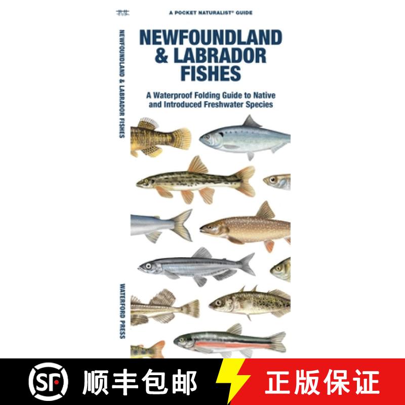 【3-4周达】Newfoundland & Labrador Fishes: A Waterproof Folding Guide to Native and Introduced Freshw... [9781620056073]