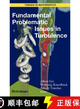 【3-4周达】Fundamental Problematic Issues in Turbulence [9783764361501]