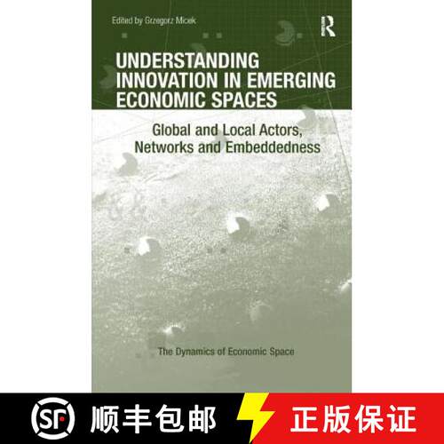 【3-4周达】精装 Understanding Innovation in Emerging Economic Spaces: Global and Local Actors, Networ... [9781472410337]