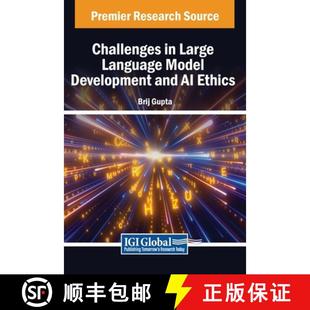 Model Large Development Ethics Challenges 4周达 9798369338605 and Language
