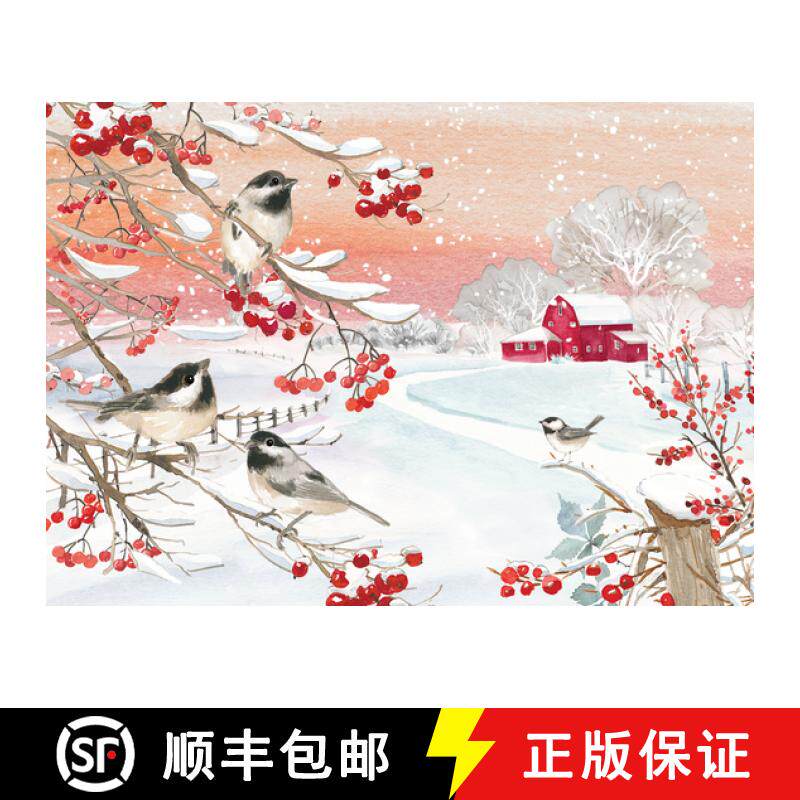 预订 Snowy Songbirds Deluxe Boxed Holiday Cards (20 Cards, 21 Self-Sealing Envelopes) [9781441345790]