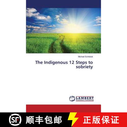 【3-4周达】The Indigenous 12 Steps to sobriety (Aufl.) [9783659760365]
