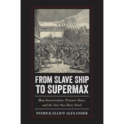 【4周达】From Slave Ship to Supermax: Mass Incarceration, Prisoner Abuse, and the New Neo-Slave Novel [9781439914144]