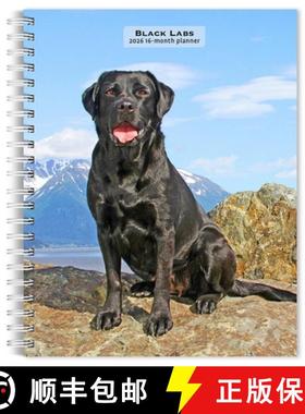 【3-4周达】Black Labrador Retrievers 2026 6 X 7.75 Inch Spiral-Bound Wire-O Weekly Engagement Planner... [9798330704231]